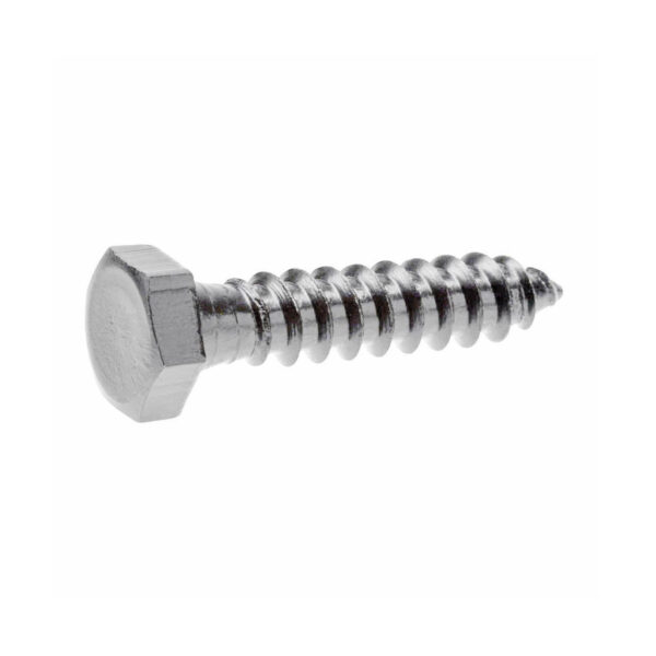 HEX LAG BOLT ZINC 31