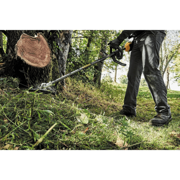 901128c97b7929d9a2c970a03a9ca95e6ab3aca9 large.png