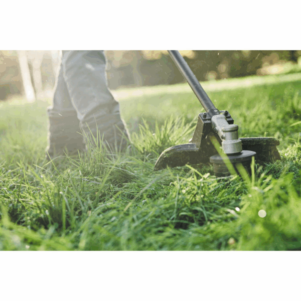 f0da99af9d03494168fee004449623a58bece69b large.png